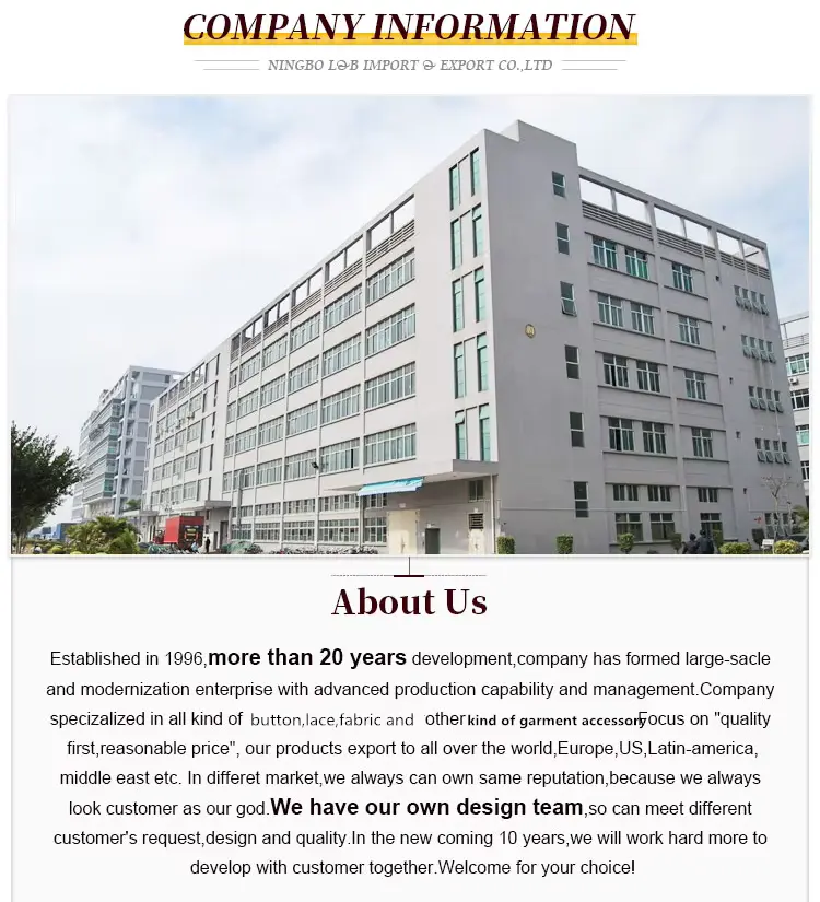 Customizable Fashionable And Exquisite Mesh Polyester Embroidered Lace For Women S Clothing Customizable Fashionable And Exquisite Mesh Polyester Embroidered Lace For Women S Clothing